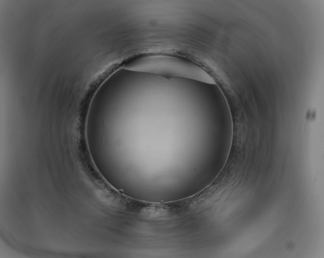X0000091570354200708201150