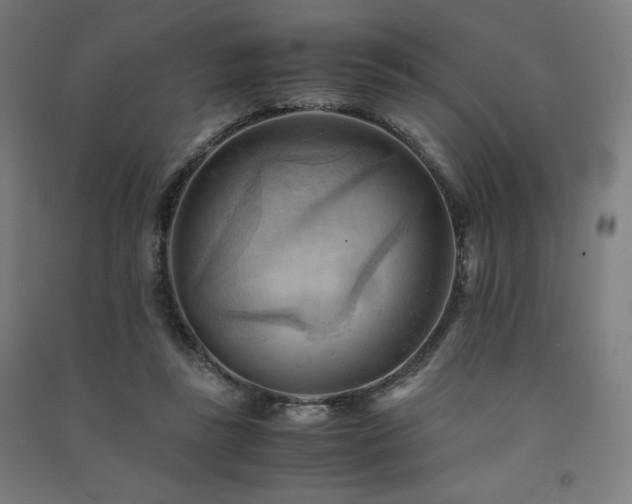 X0000091570355200708201150