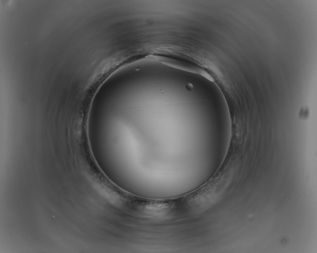 X0000091570357200708201150