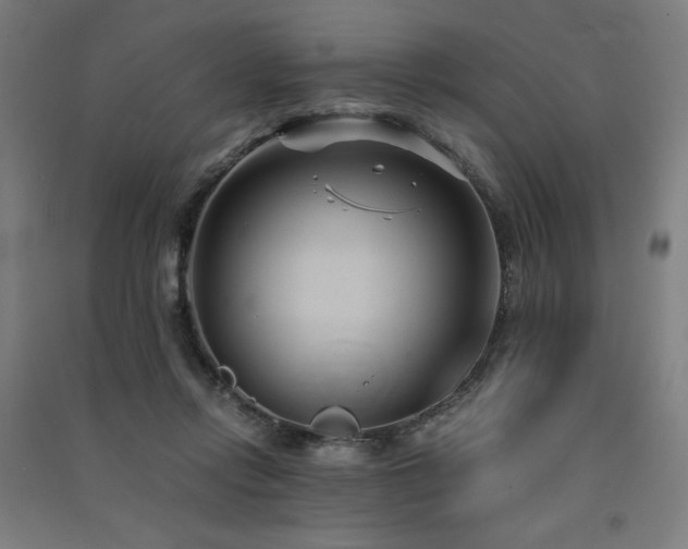 X0000091570358200708201150