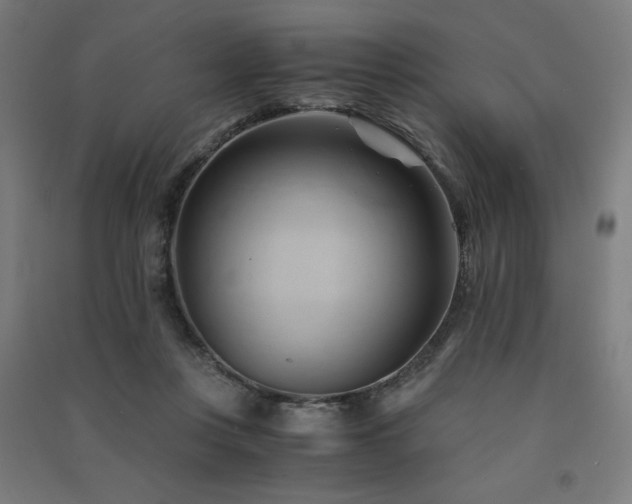 X0000091570359200708201150