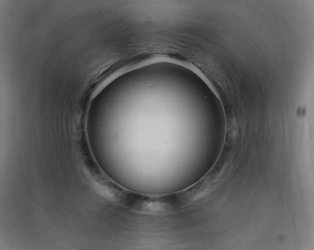 X0000091570360200708201150