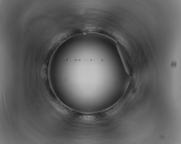 X0000091570361200708201150