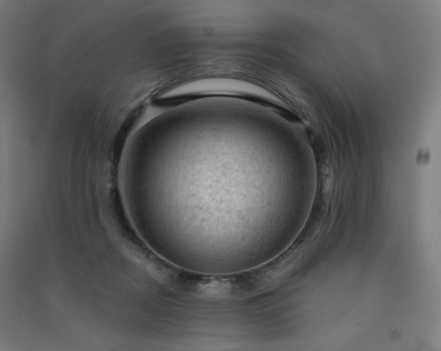 X0000091570362200708201150