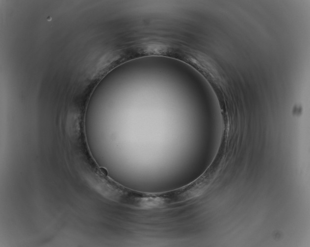 X0000091570363200708201150