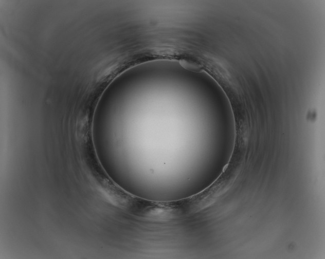 X0000091570364200708201150