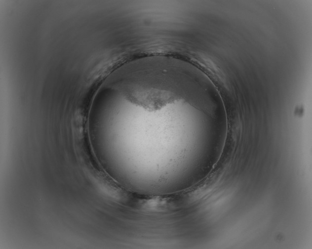 X0000091570366200708201150