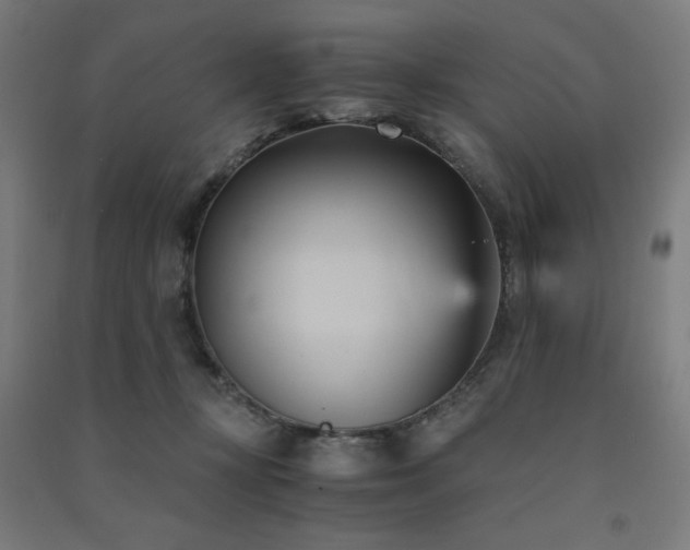 X0000091570367200708201150