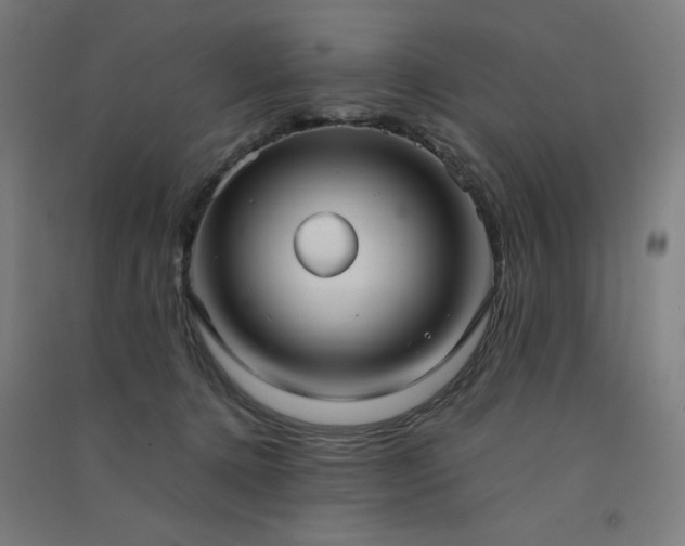 X0000091570368200708201150