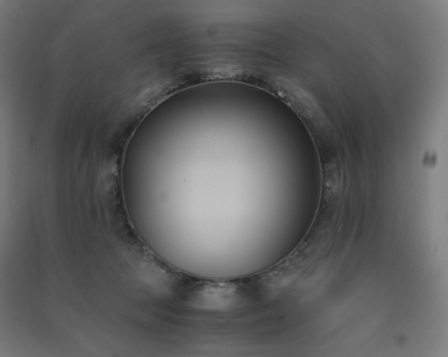 X0000091570369200708201151