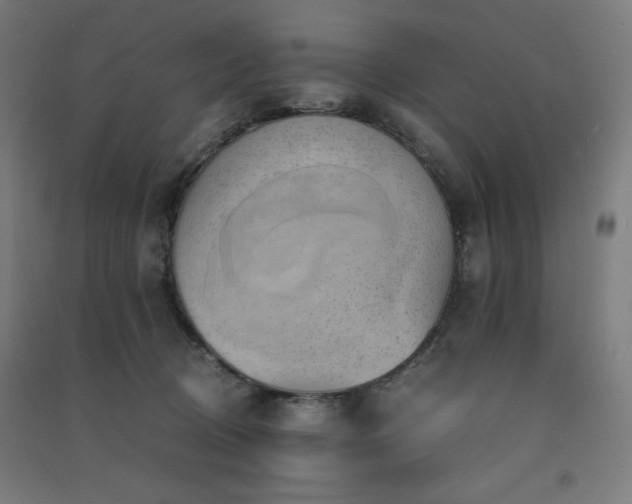 X0000091570370200708201151