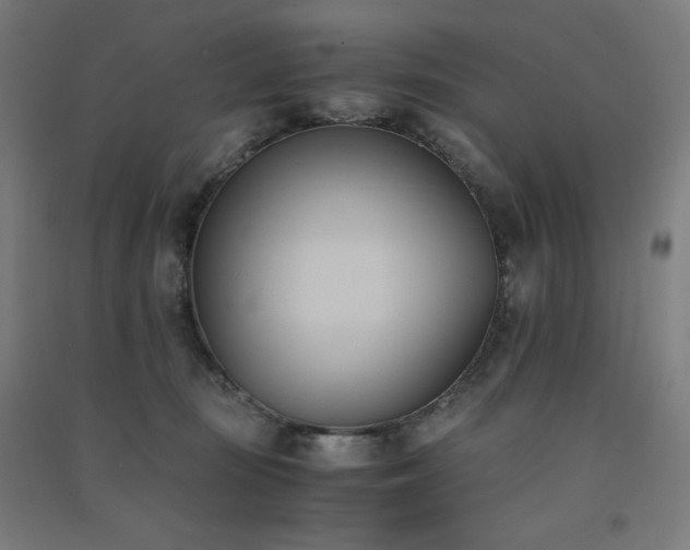 X0000091570371200708201151