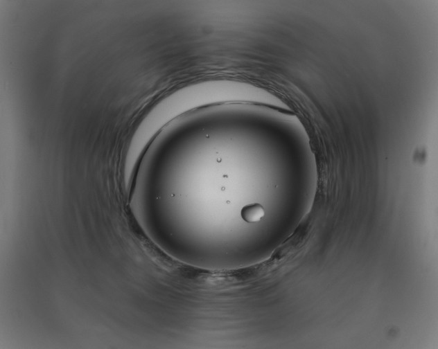 X0000091570372200708201151