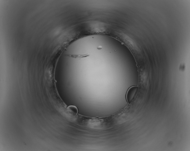 X0000091570373200708201151
