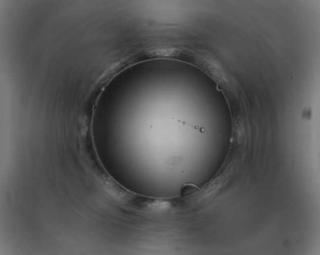 X0000091570374200708201151