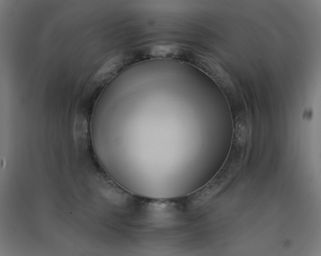 X0000091570375200708201151