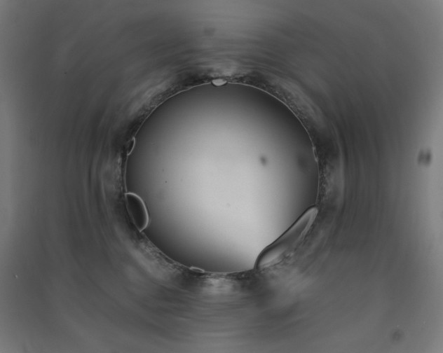 X0000091570376200708201151