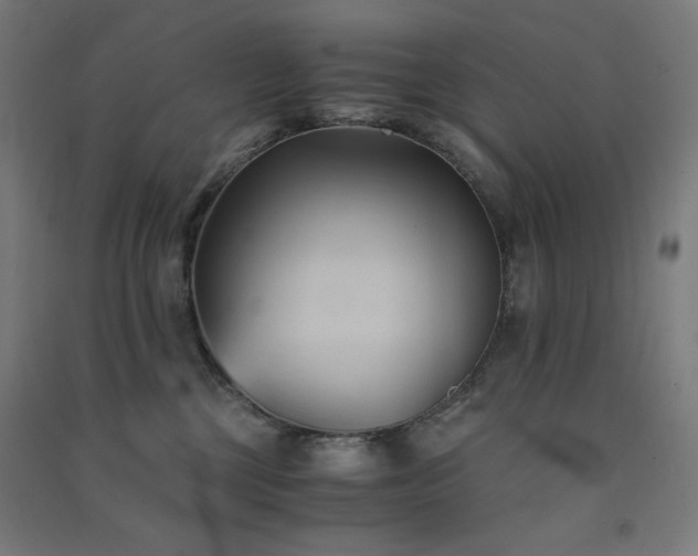 X0000091570377200708201151