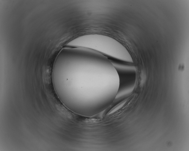 X0000091570378200708201151