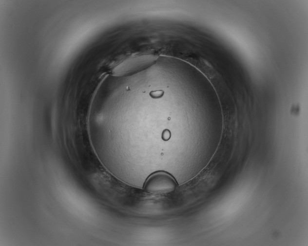 X0000091570382200708201151