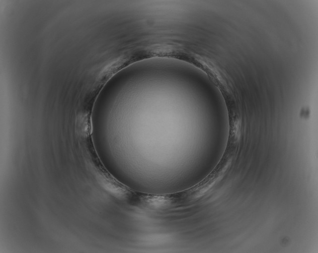 X0000091570383200708201151