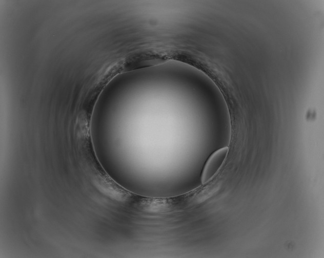 X0000091570384200708201151