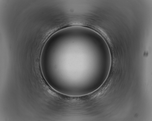 X0000091570385200708201150