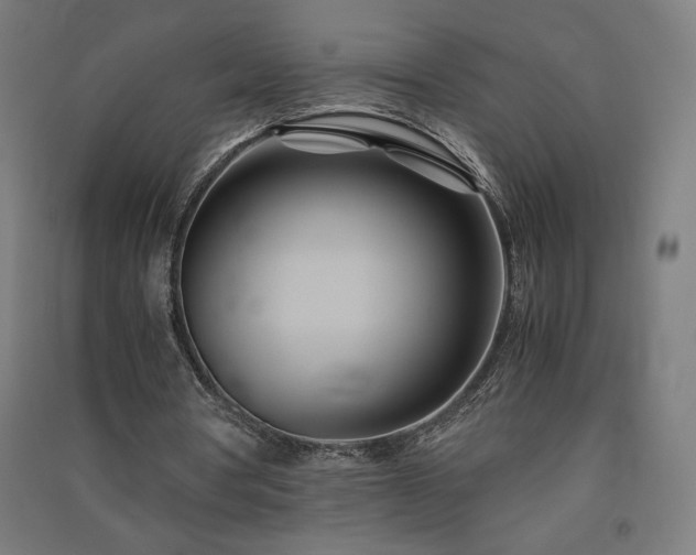 X0000091570386200708201150