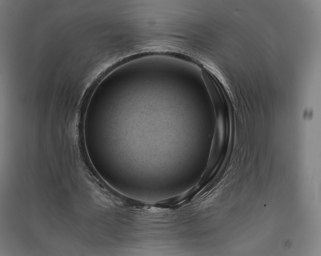 X0000091570387200708201150
