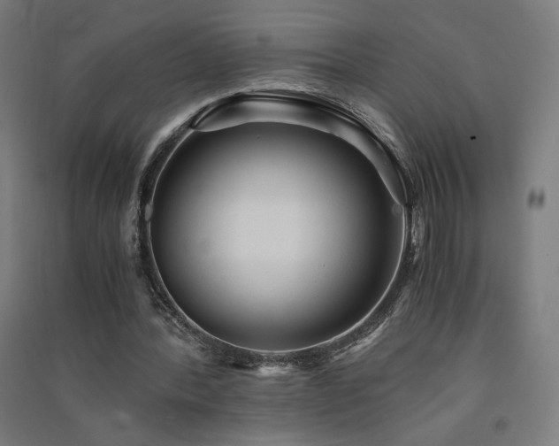 X0000091570388200708201150