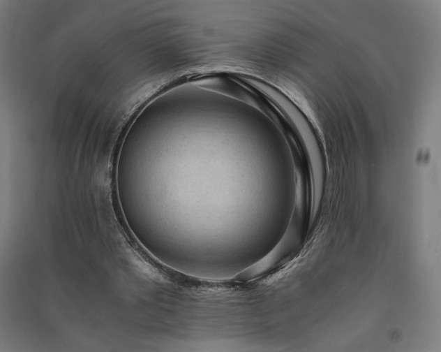 X0000091570389200708201150
