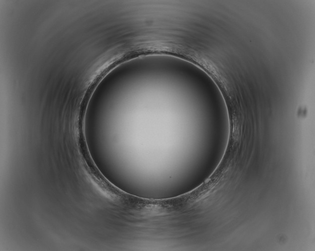 X0000091570390200708201150