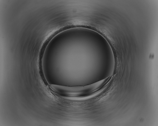 X0000091570391200708201150