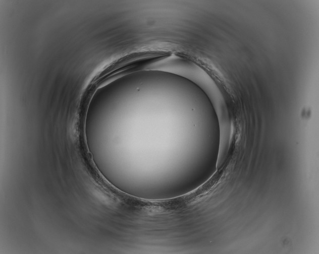 X0000091570392200708201150
