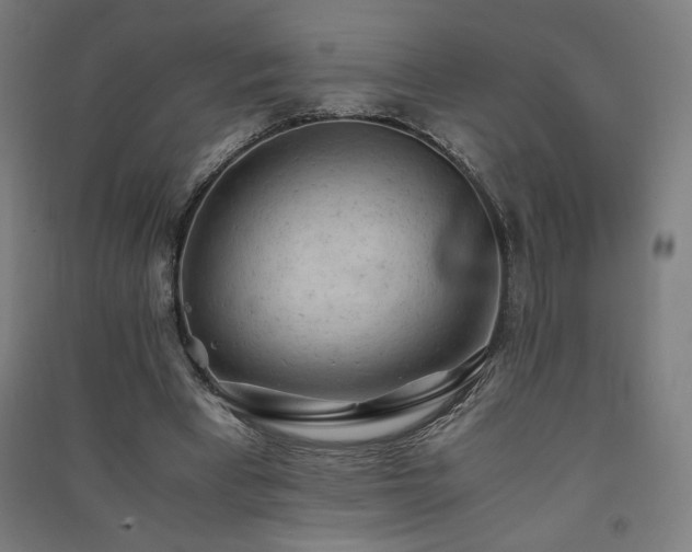 X0000091570393200708201150