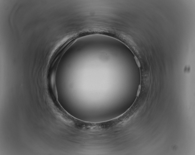 X0000091570395200708201150