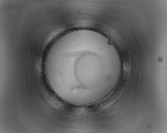 X0000091570396200708201150