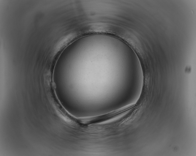 X0000091570397200708201150