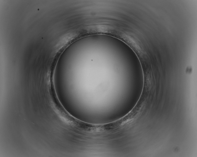 X0000091570398200708201150