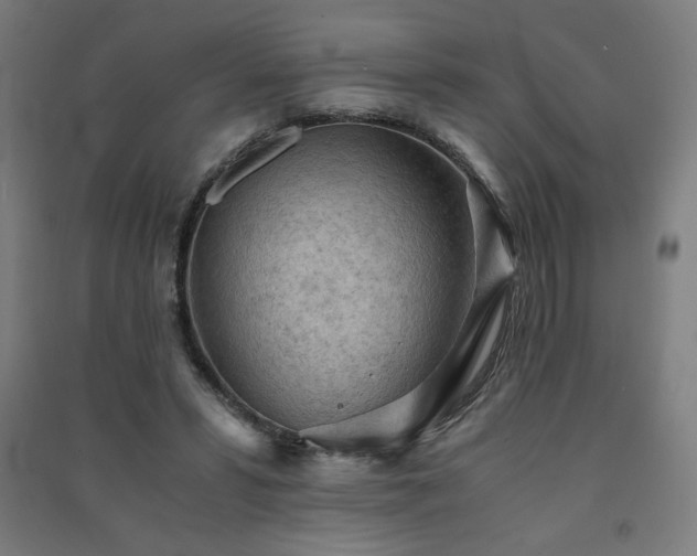 X0000091570399200708201150