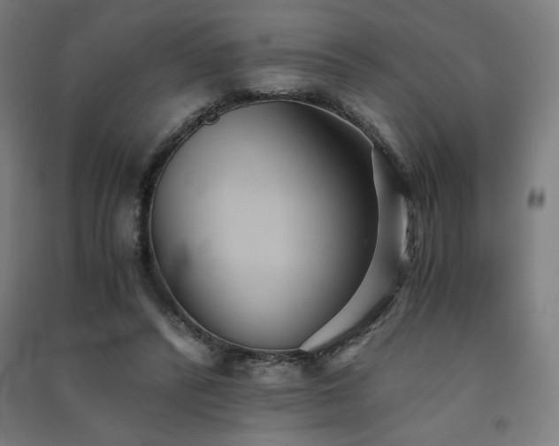 X0000091570400200708201150