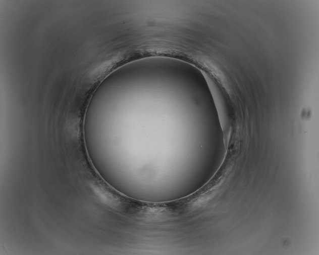 X0000091570401200708201150