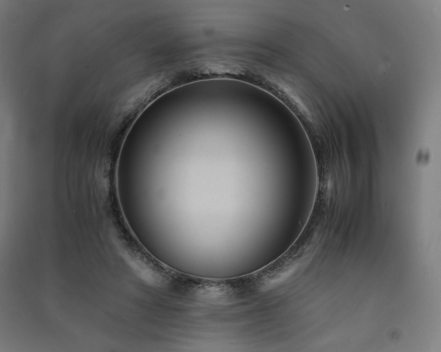 X0000091570402200708201150