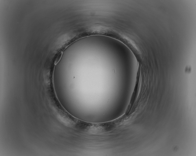 X0000091570403200708201150