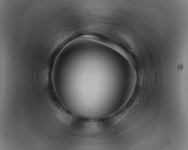 X0000091570404200708201150