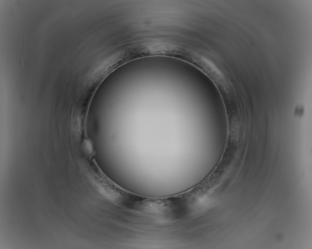 X0000091570405200708201150