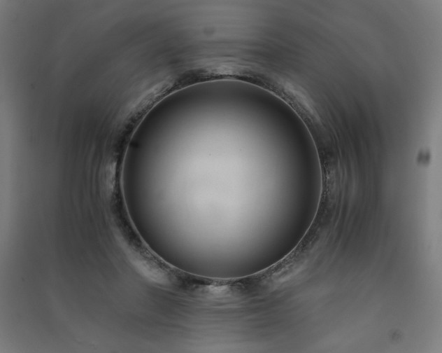X0000091570406200708201150