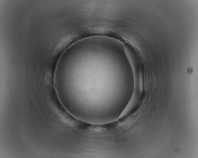 X0000091570407200708201150