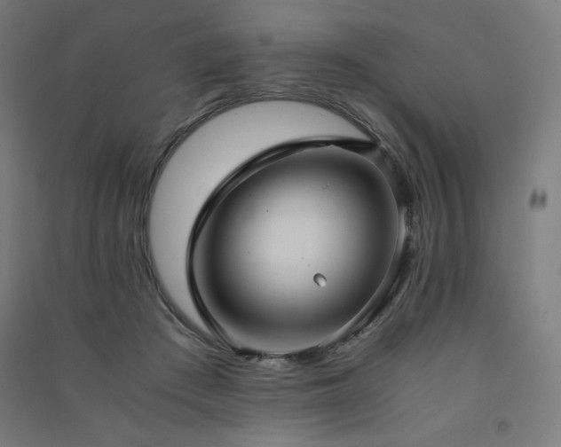 X0000091570409200708201150