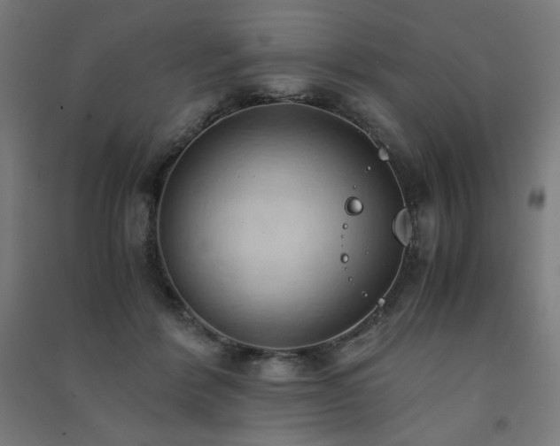 X0000091570412200708201150